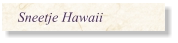 Sneetje Hawaii