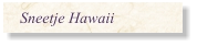Sneetje Hawaii