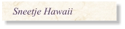 Sneetje Hawaii