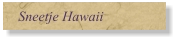 Sneetje Hawaii