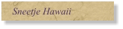 Sneetje Hawaii