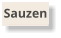 Sauzen
